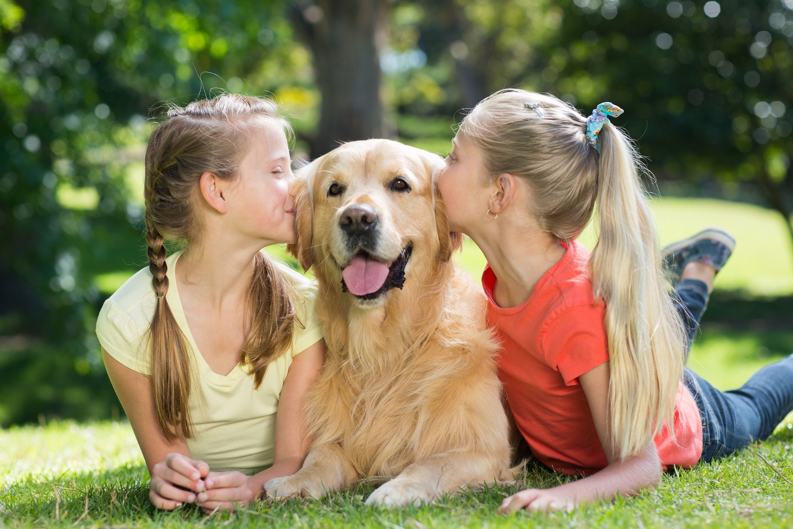 Somos Pet Friendly<br><p>En Paseo Sabana tus mascotas también son parte de la familia</p>